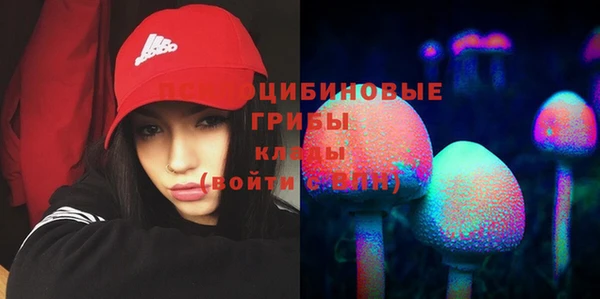 дмт Кукмор