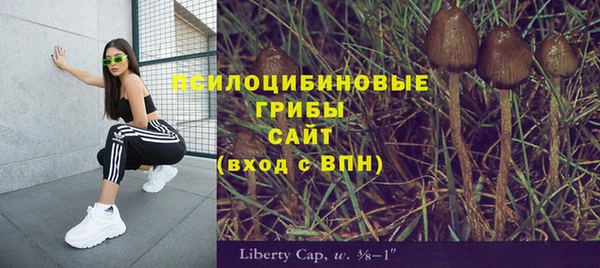 дмт Кукмор