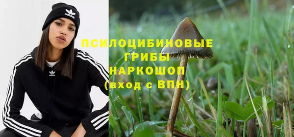 мет Щучье