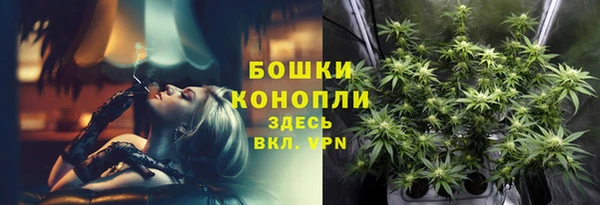 дмт Кукмор