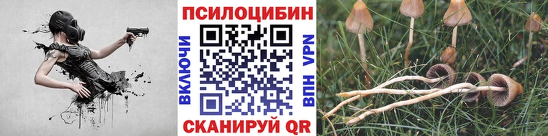 Купить  Котово  Галлюциногенные грибы GOLDEN TEACHER 