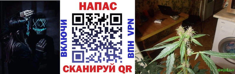 Купить  Котово  Канабис AK-47 